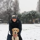 [베니스 세바] 눈 내린 베니스의 겨울 이미지