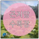 고령목장 | 경기광주 곤지암 수목장 자연장 가격 비교와 가족형 분양 후기