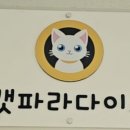 캣파라다이스 일산점 이미지