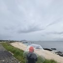 성산경로식당 | 제주도 우도 여행! 맛집추천 (최근 성산항 시간표, 가격표)