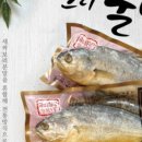 보리베리 이미지