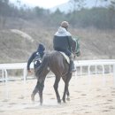 장수목장2 이미지