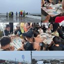 강사1리경로당 이미지