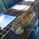 미스고 PC 이미지