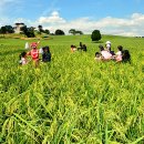 영근농장 이미지