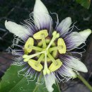 해돋이농장 이미지