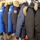 드림명품세탁 이미지