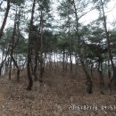 대봉2리 마을회관 이미지