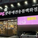 핫독애견 이미지