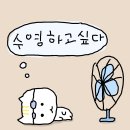 [해산] 자신보육원 노동조합 | 쏟아지는 별에 눈이 부셔 다른 곳을 헤매도 언제나처럼