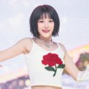 장미앨범사진기획 이미지