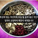 태백산약초원 이미지