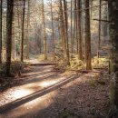 부안도깨비(18회차) | 오대산 월정사 단풍 여행: 2025년 절정 시기, 주차 꿀팁, 추천 코스, 입장료