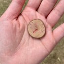 가족이 함께 떠나는 숲체험 & 놀이 - 애벌레 숲 놀이터 | 제주 아이랑 가볼만한곳, 제주 구좌 숲놀이터 모래놀이 천국 아이올레인포레스트 솔직후기