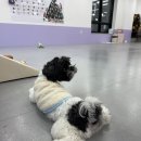 (주)라온부동산중개법인 이미지