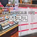 히코코 | 태백 오투리조트 카페 히코코 메뉴 내돈내산 후기