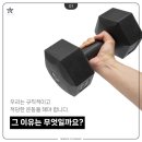 흑룡합기도 이미지