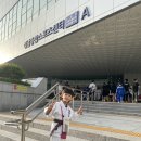 용인대 원탑유도 이미지
