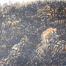 서구-01-80 이미지