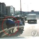 본대로