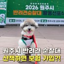 아시아펫 | 우리동네 네발 영웅! 원주시 반려견 순찰대 발대식 후기 (펫보험혜택&amp; 신설 강아지공원 소식)
