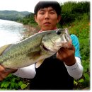 힛트방