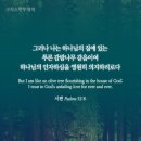 푸른감람나무 이미지