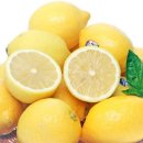 레몬 이미지