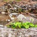 비슬산휴양림주차장매점 이미지
