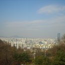 용호초등학교사거리 이미지