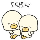 미니카센타 이미지