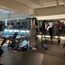 레디바디 이미지