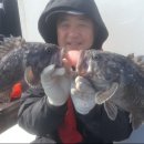 목포해오름 이미지