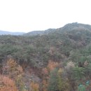 01-11 동구 이미지