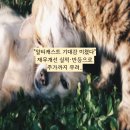 케이피인베스트먼트 네이버블로그