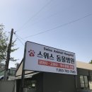 스위스동물병원 이미지