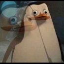 아메리칸트레이 이미지