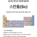 짱 놀이터 이미지