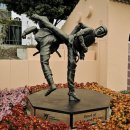 한국영원 태권도 이미지