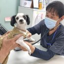 시민동물병원 이미지