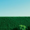 까페 마리나(Cafe Marina) 이미지