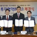 그린티앤에프
