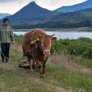 구례의길(섬진강길) 이미지