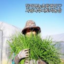 월례농장 이미지