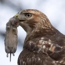 동아주유소 이미지