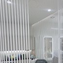 가이아헤어 네이버블로그