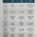 창작연구소빠싹 | [캐치콜 라이트] 노폐물 배출과 식후 혈당 관리까지! 15시간의 기적, 찐 솔직 후기