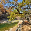 그린랜드 민박 이미지