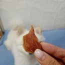 루이식스