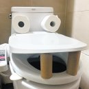 악어화장실 이미지